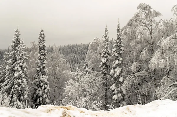 Invierno en las montañas de los Urales —  Fotos de Stock