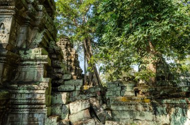 Angkor wat. ta prohm tempie. Kamboçya