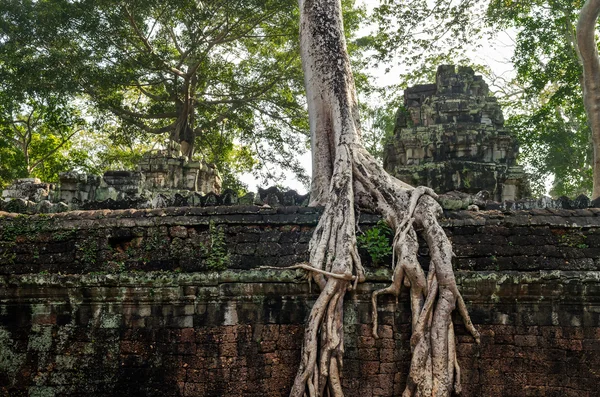 Camboya. Depósito Angkor . —  Fotos de Stock