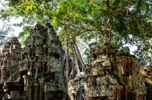 Camboja. Barco de Angkor . — Fotografia de Stock