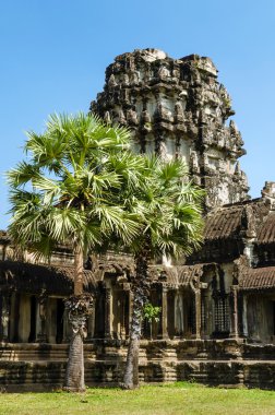 The temple of Angkor Wat, Siem Reap clipart
