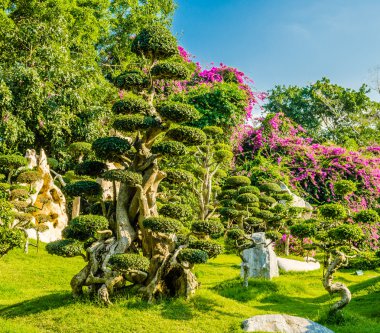 milyonlarca yıl taş park