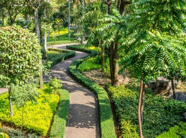 Nong nooch tropikal Botanik Bahçesi