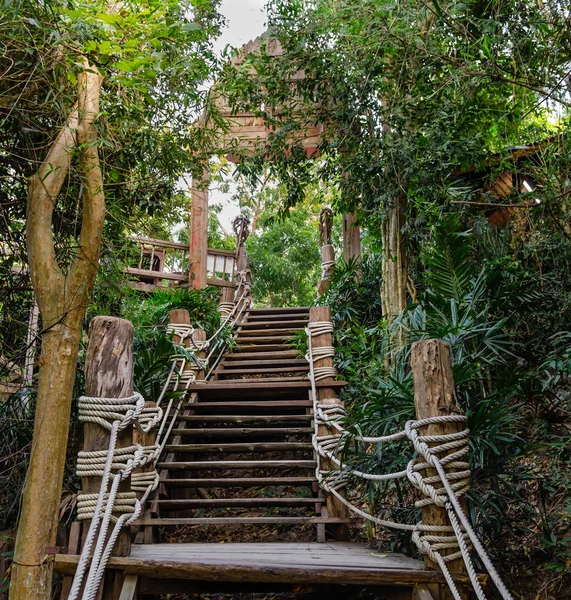 在雨林里的楼梯 — 图库照片