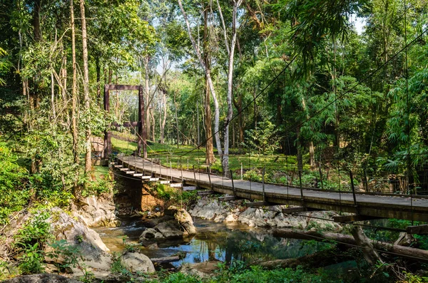 桥梁在雨林中河 — 图库照片