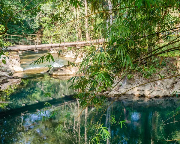 Ponte sobre o rio na floresta tropical — Fotografia de Stock