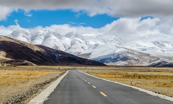 Tibet platosu yolda