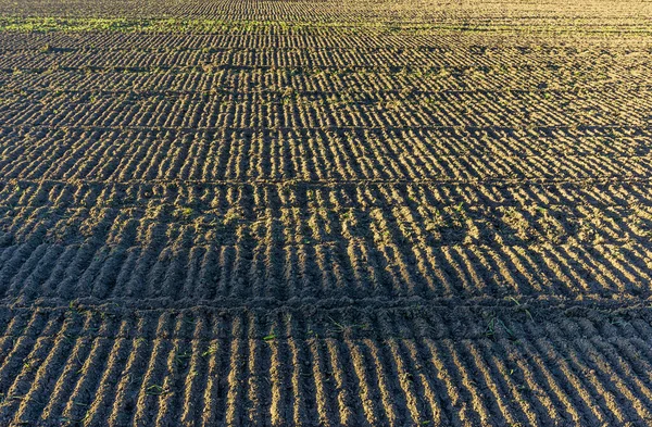 Rij groeven die parallel over een landbouwgrond lopen — Stockfoto