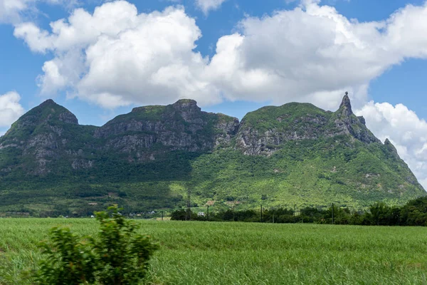 Pieter Both Mountain Viewed Sugarcane Field Mauritius Stockfoto