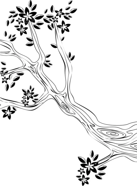 A branch of a flowering tree — Stock Vector