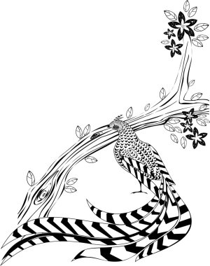 çiçekli ağaç ve reeves sülün dalı