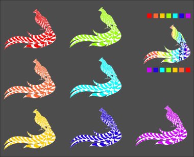 Gökkuşağının renkleri boyalı sülün