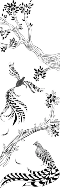 一棵开花的树和长尾雉的分支 — 图库矢量图片