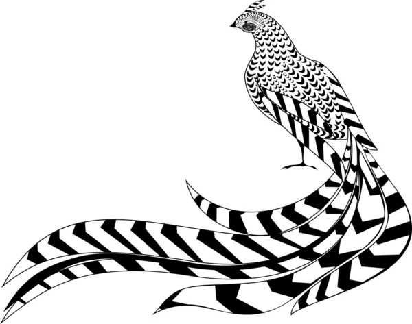 Reeves's Pheasant — Stock Vector