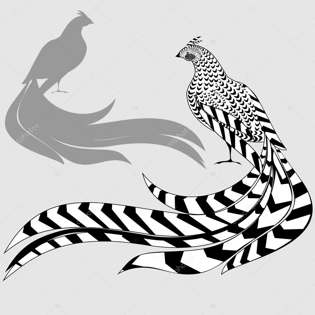 Reeves's Pheasant and silhouette of pheasant