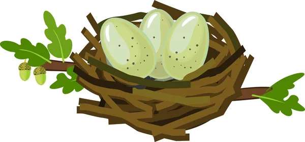 Desenhos Animados Ninho Aves Selvagens Com Três Ovos Isolados Fundo — Vetor de Stock
