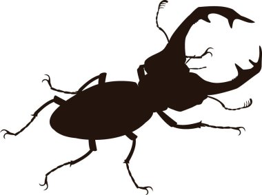  Beyaz arka planda, Avrupalı erkek geyik böceğinin (Lucanus cervus) siyah silueti izole edilmiştir.