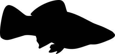  Beyaz arka planda izole edilmiş siyah kılıç kuyruklu akvaryum balığı silueti.