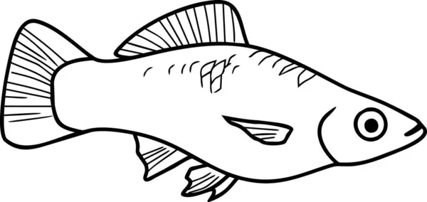 Coloriage Avec Des Poissons Aquarium Queue Épée Femelles Isolés Sur — Image vectorielle