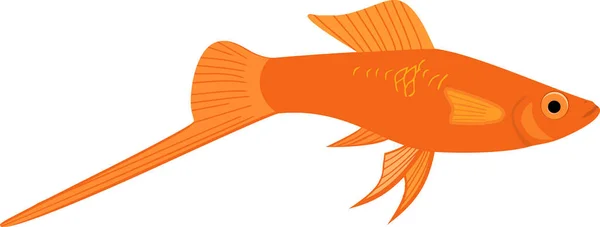 Рыба Аквариум Оранжевым Хвостом Белом Фоне — стоковый вектор