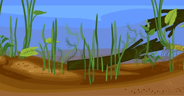 水底池塘景观及漂流木和水生植物 — 图库矢量图片