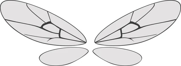 Крила Комах Ізольовані Білому Тлі — стоковий вектор
