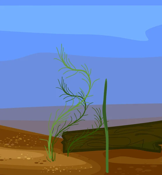 Paisaje Abstracto Del Estanque Submarino Con Madera Deriva Plantas Acuáticas — Vector de stock