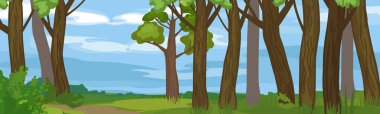  Abstract summer cartoon panoramic landscape with blue sky and thick trunks of old trees in grove