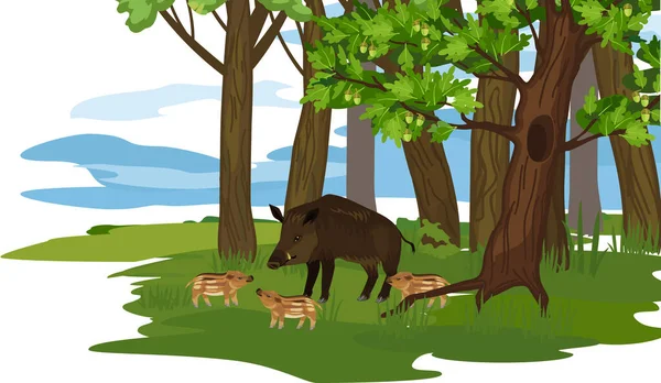 Summer Forest Landscape Oak Trees European Wild Boar Sus Scrofa — Archivo Imágenes Vectoriales