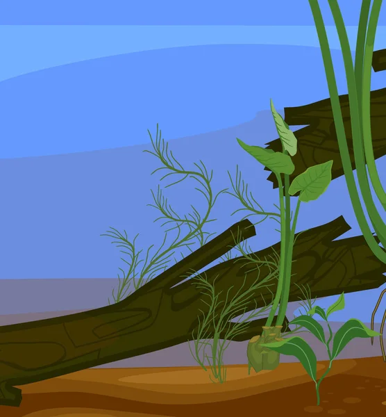 Paisaje Abstracto Del Estanque Submarino Con Madera Deriva Plantas Acuáticas — Vector de stock