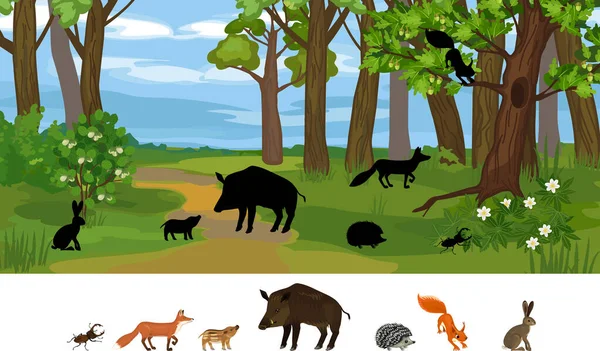 Find Right Shade Educational Children Matching Game Animals Living Grove — Stockový vektor