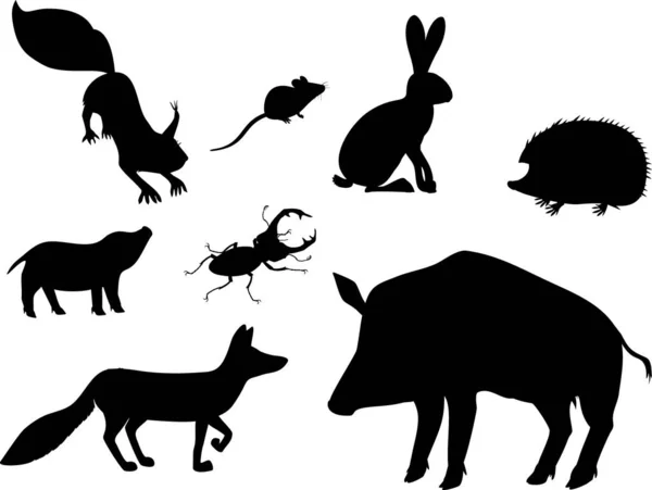 Set Van Silhouet Van Cartoon Dieren Die Leven Het Bos — Stockvector