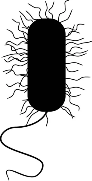 Schwarze Silhouette Eines Bakteriums Mit Flagellen Und Flimmerhärchen Auf Weißem — Stockvektor