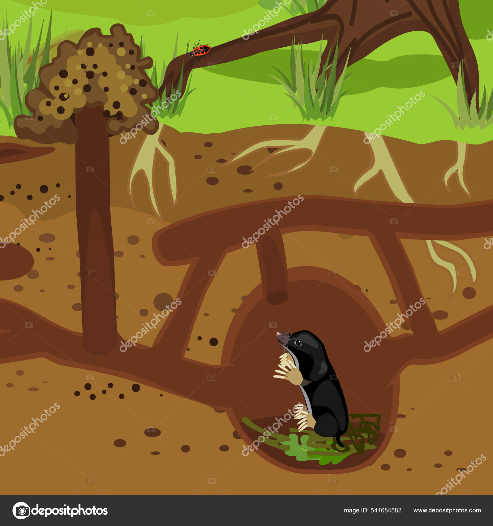 тоннели крота. лабиринт крот. вомбат в норе. схема нор кротов. крот в норе рисунок.