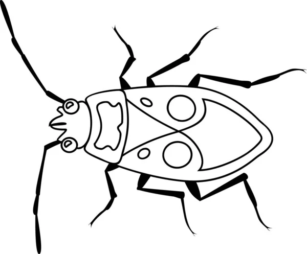 Coloring Page Firebug Pyrrhocoris Apterus — Stock Vector