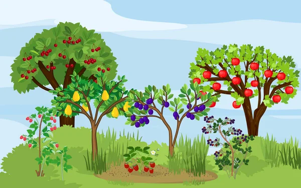 枝に熟した果実を持つさまざまな果物の木やベリー低木の風景 収穫時期 ベクターグラフィックス