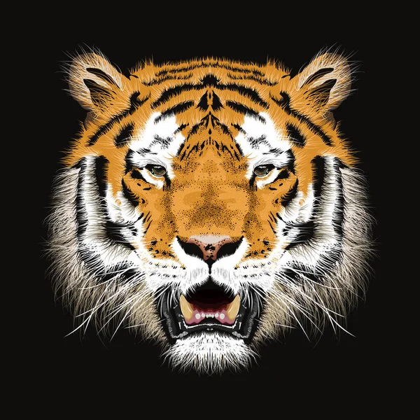 Bengal kaplanı kafasının vektör çizimi. Hayvan baskısı. Vahşi yaşam. - Vektör