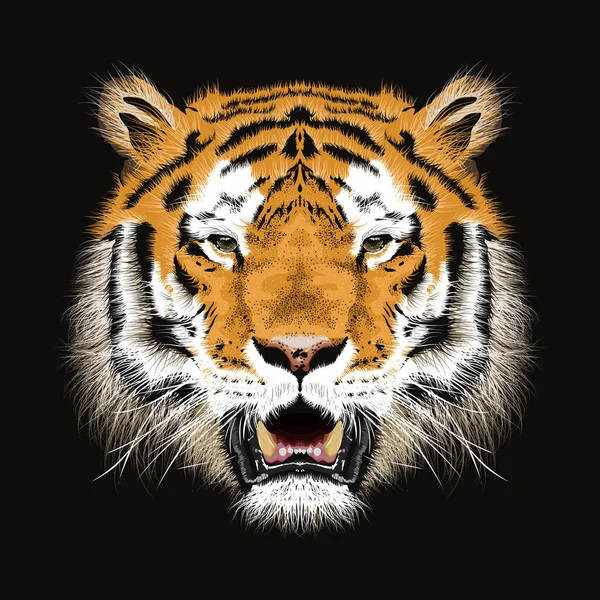 Bosquejo Vectorial Cabeza Tigre Bengal Impresión Animal Vida Silvestre Vector — Archivo Imágenes Vectoriales
