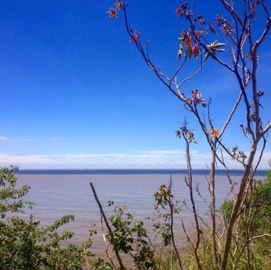 Büyük Nehir Rio de la Plata - Arjantin