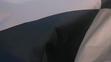 Slow motion checkered flag flying in a stiff breeze at the beach. slow motion. High quality FullHD footage