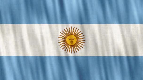 Argentina National Flag Bezešvé Smyčkové Animace Detailní Mávání Vysoce Kvalitní — Stock video