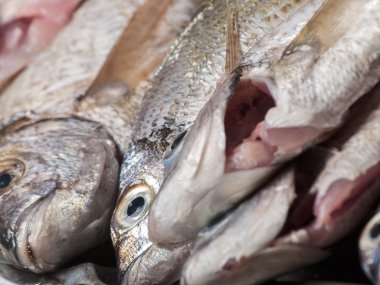 temizlenmiş taze balık