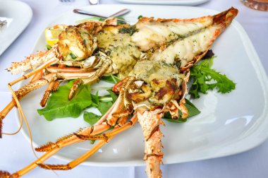 Bütün kırmızı ıstakoz