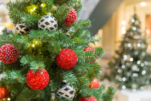 Duas árvores de Natal — Fotografia de Stock