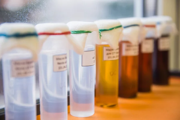 Laboratory Glassware — Stock Photo, Image