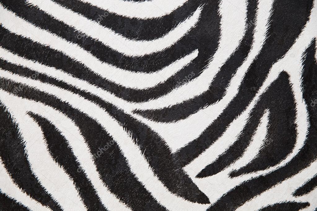 zebra background