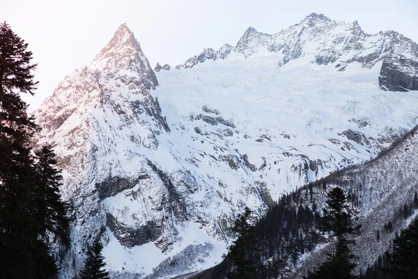 山 — ストック写真