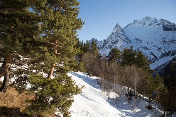 Berge — Stockfoto