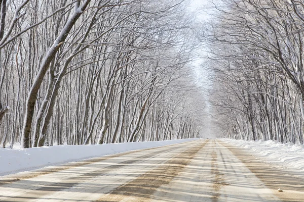 Winterweg — Stockfoto