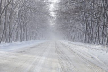 kış yolu